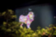 11318.jpeg