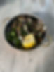 IMG_3255.jpeg