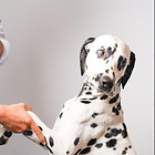 fcc59a4f-2635-4678-b7cf-d592d07f417a_edi