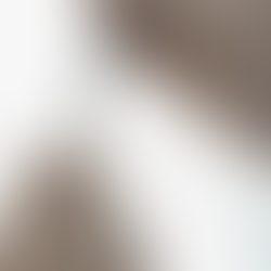 The Premier Choice for Penis Enlargement in Bangkok: A Guide to HA Fillers at Menness