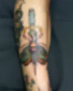 Custom drawn Neo Traditional tattoo of a moth, skull, and dagger tattoo using vivid colors.