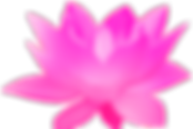 Qualifications__element57.png