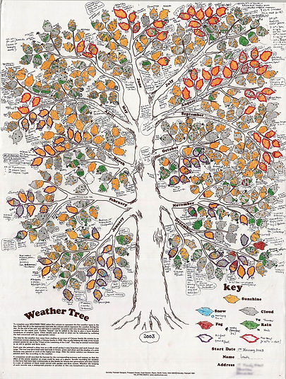 Simon Leach's weather tree' in Roy 2016.jpeg