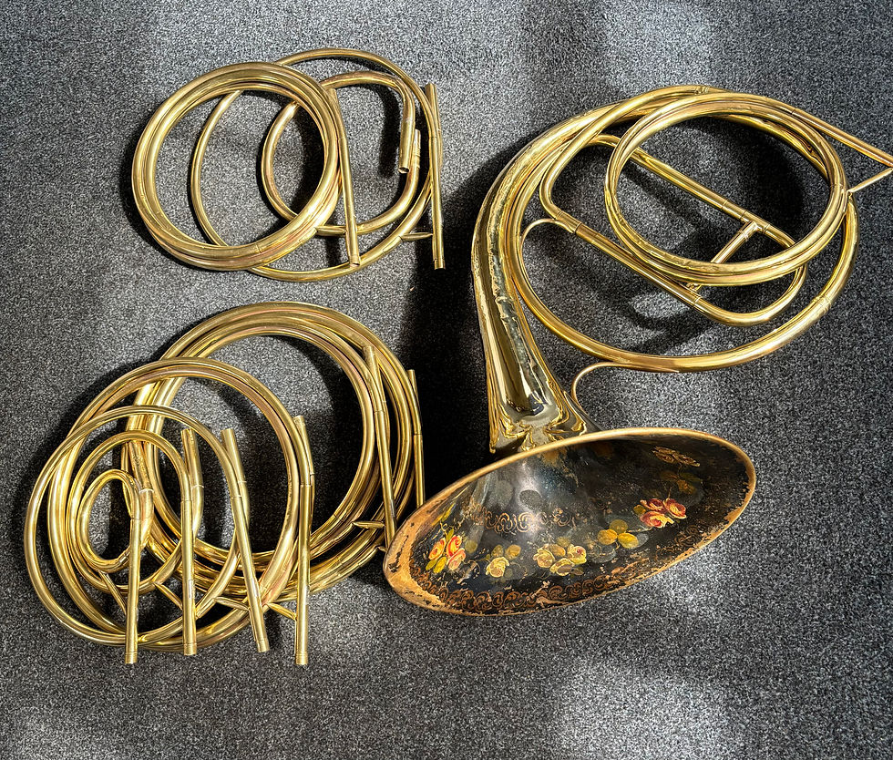 Thumbnail: Gand Laval natural horn complete