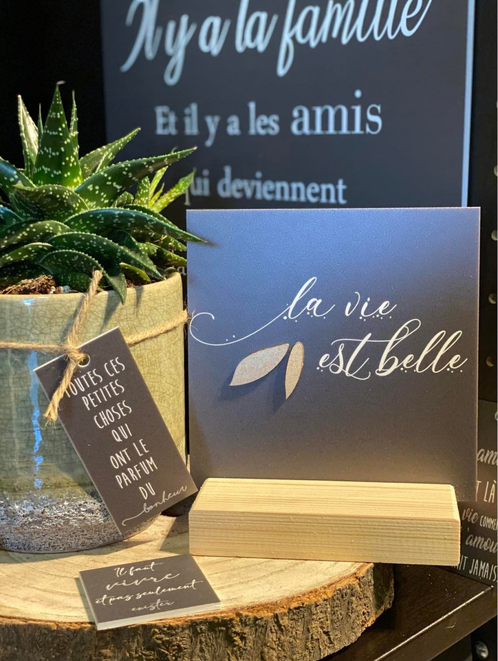 Cadres My-D&co avec citation