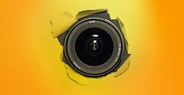 Neighbour Plants Listening Device To Spy On Family