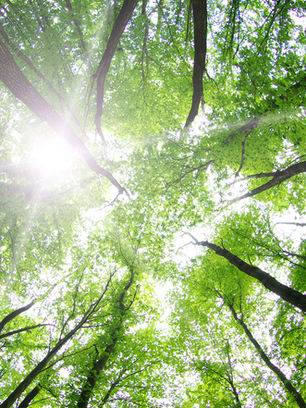 Daylight Across Europe: Seasonal Rhythms, Human Biology, and the Mindfulness Perspective