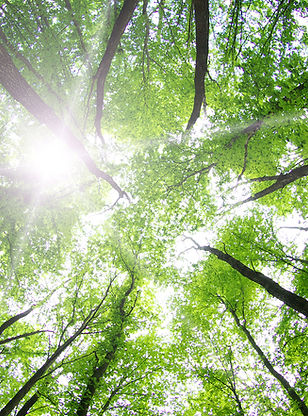 Receive ease, joy, and abundance through Theta Healing