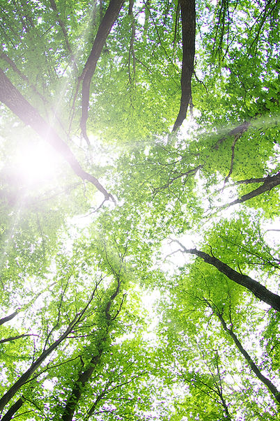 Clinic on the Green - Who can benefit from our Counselling with Transactional Analysis