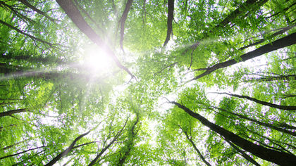 A Prayer to Ek Chuaj