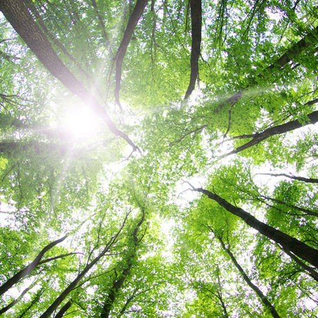 5 NAMIGOV ZA SEZONO DVOJČKA