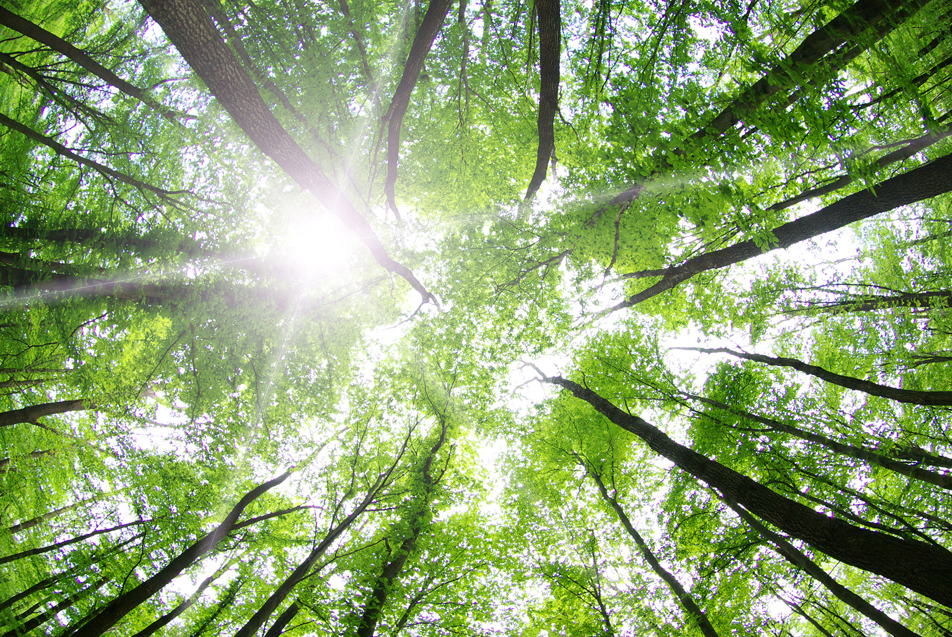 Mindfulness and Meditation | achillesjustice