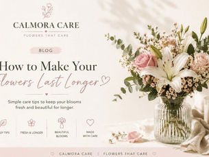 Minimalist floral arrangement with pink roses and white lilies in a vase, featuring Calmora Care’s flower care blog.