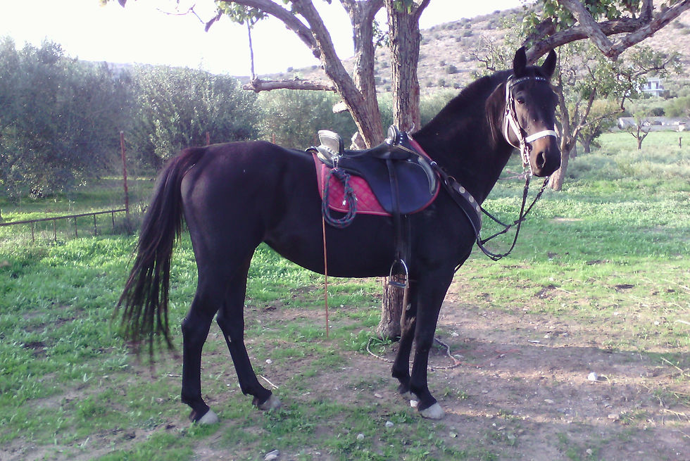 CARMEN