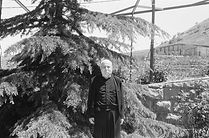 Hammana, Beirut. May 2020.