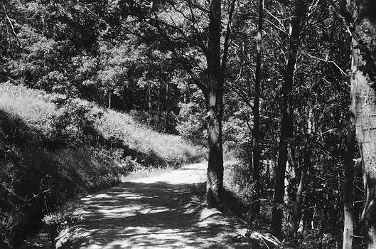 Kfardebian, Lebanon. May 2020.