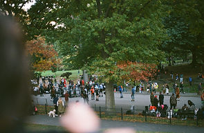 The Skater's Circle, New York City. October 2021.