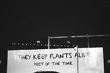 New York City, October 2021.