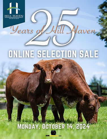 FINAL - Hill Haven ONLINE SALE 2024 (2).jpg