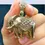 Thumbnail: 14K Solid Yellow Gold - Elephant Charm Pendant - CZ Diamond Charm