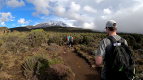 Quick tips on Mount Kilimanjaro (Lemosho route) and why I failed to reach the summit