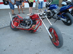 DSC01464