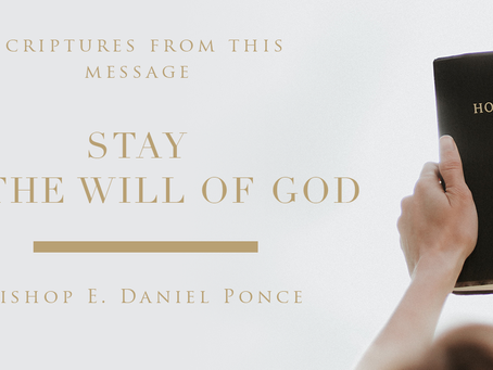 Stay in the will of God