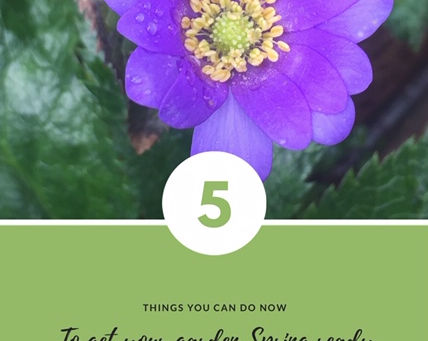 5 things you can do NOW to get you and your garden Spring Ready in 2024