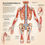 Миниатюра: Individual Physiotherapy Subscription – Unlimited Care for You