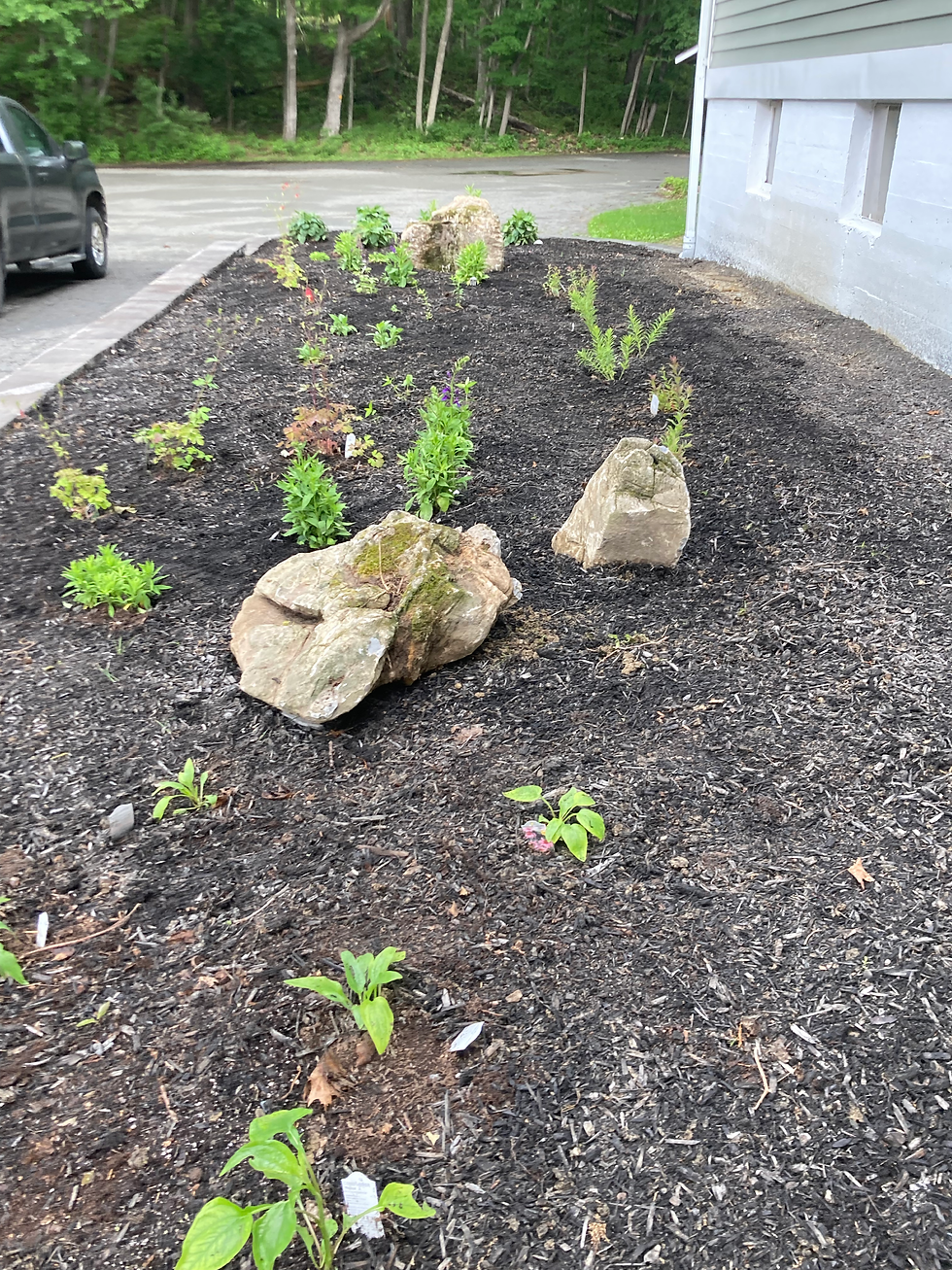 Freshly planted garden.