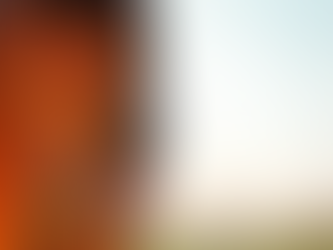 Go on a snack walk with your horse and stimulate his natural instinct