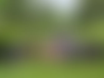 Group photo from the Chiang Mai Pop-Up in 2025 showing a group of families in a tropical setting, some with umbrellas and ponchos