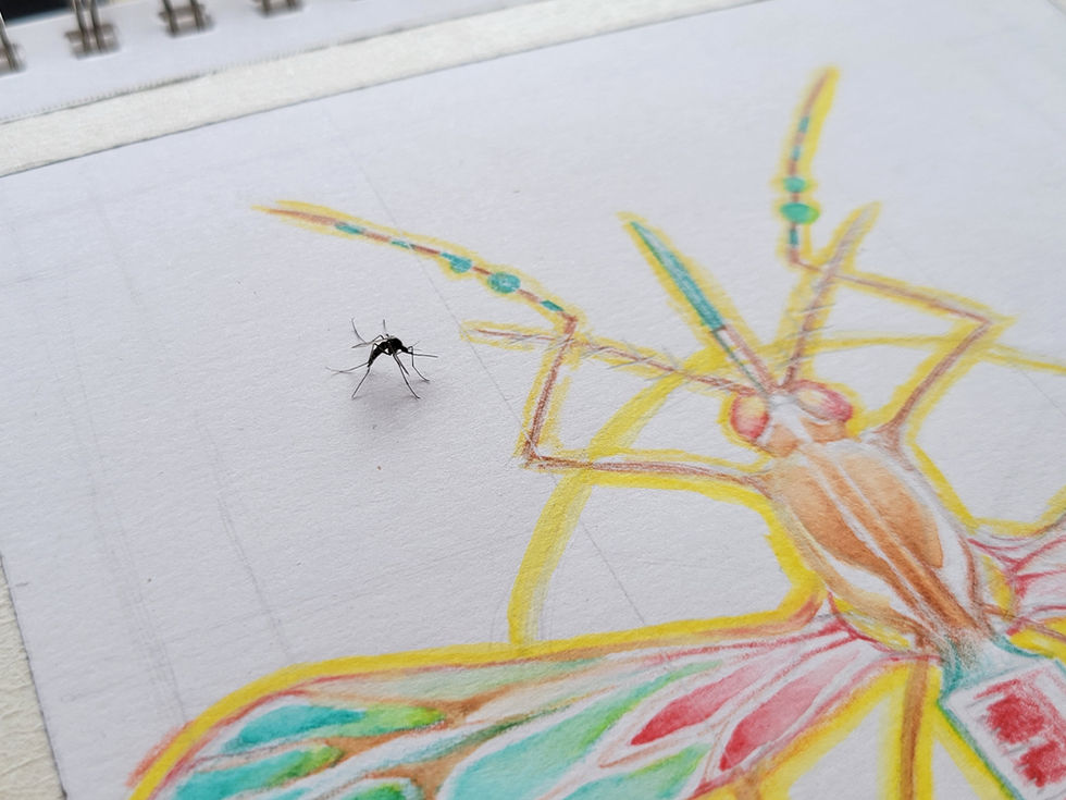 Mosquito approved?