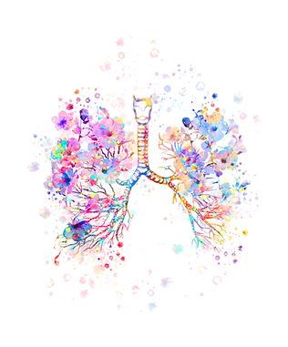 bronchiwatercolorart24x30-1_edited.png