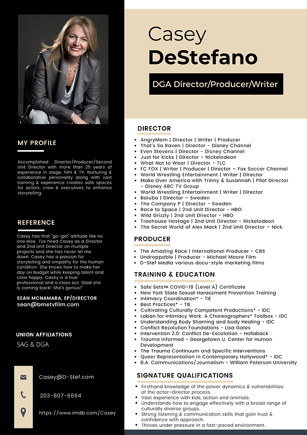 I.C.Casey DeStefano Resume.png