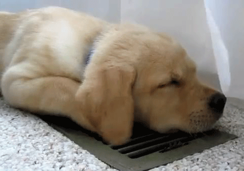 tumblr_mhgqt3LtnG1r5xpw1o1_500.gif