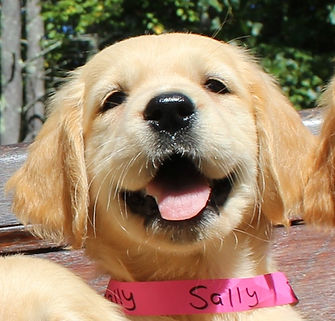 Sally.jpg