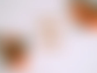 Bilan de l’année 2025 et objectifs de l’année 2026