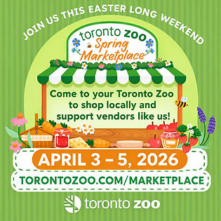 e85b80b3-9973-42ca-8800-649d293a6f8e.jfif