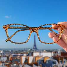 Lafont optique.jpg