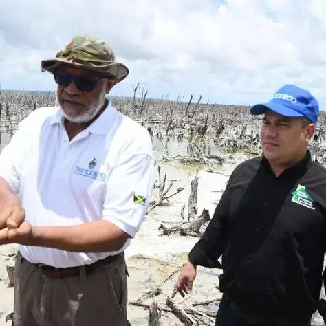 Mangrove Restoration project is most commendable