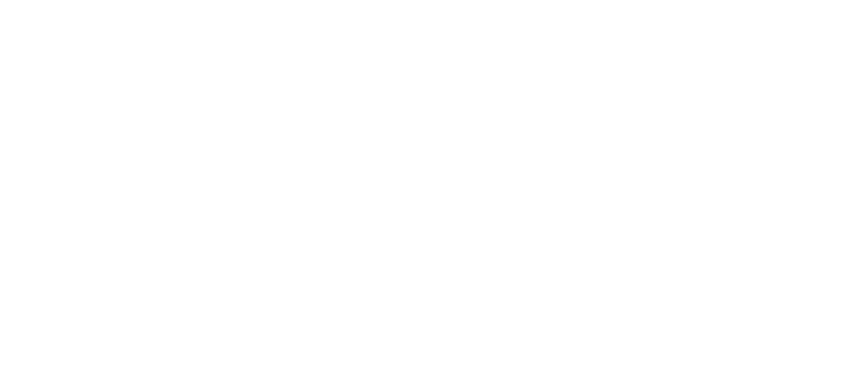 SLB logo white
