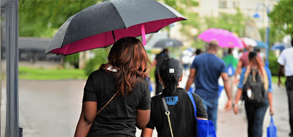 Umbrella in Rain