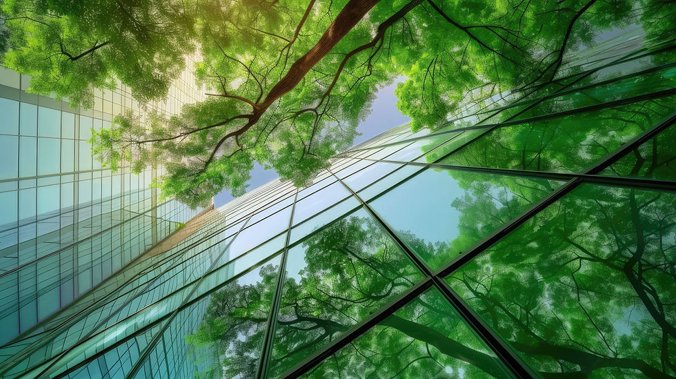 mirror-structure-reflect-light-green-tree-opposite-sun-aig.jpg