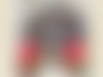 連獅子モンチッチ🐵