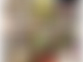 ワンニャン🐶🐱コーナー