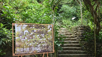 嘉道理農場暨植物園 70 週年夏日活動 免費入園 展開一場喚醒記憶 探索自然與愛護土地的旅程