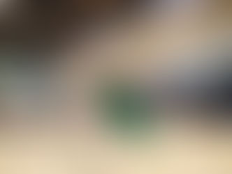 籃青元旦盃籃球邀請賽2019
「第三十屆周年籃球邀請賽」圓滿結束
滿貫旗開得勝 稱霸元旦盃