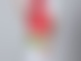 前美網冠軍施歷於中銀香港網球公開賽2026展開新賽季 迪亞路、波捷斯加入戰陣 共九位世界排名前50的球手一月齊聚香港