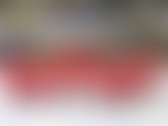 「IIHF世界錦標賽2019」
香港女子冰球代表隊揮軍南非